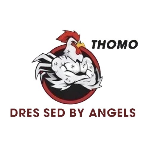 Xem đá gà Trực tiếp