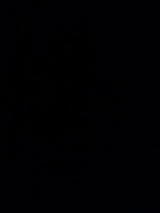 T M