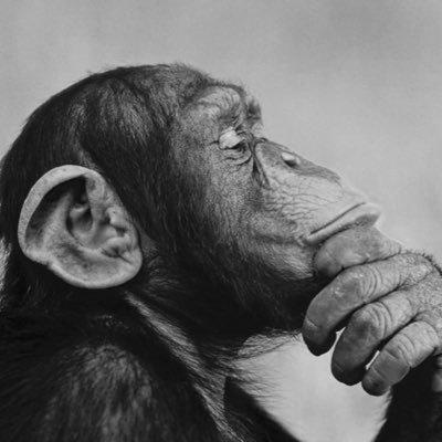 Oscar armando Torres martinez