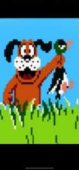 Louie Madonia