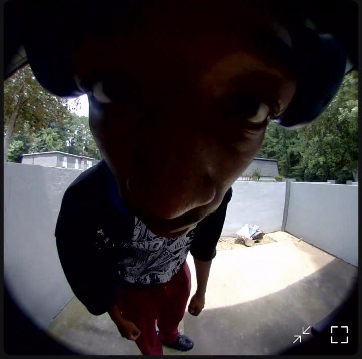 Marquis Reedy