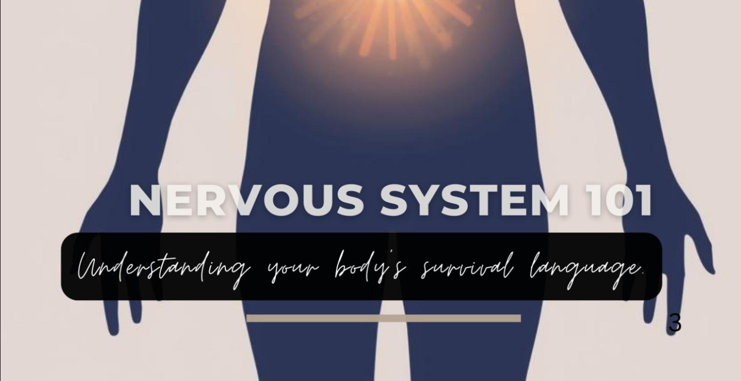 3. Nervous System 101