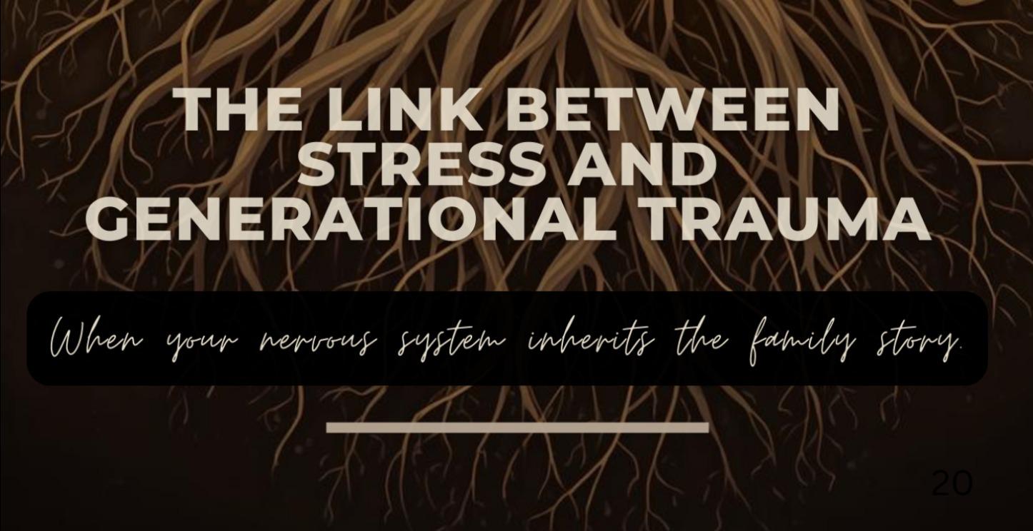 20.The Link Between Stress and Generational Trauma