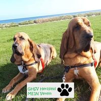 Elke Keratis-Müller