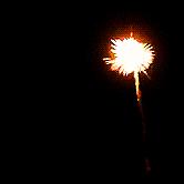 4TH OF JULY PLANS? 
