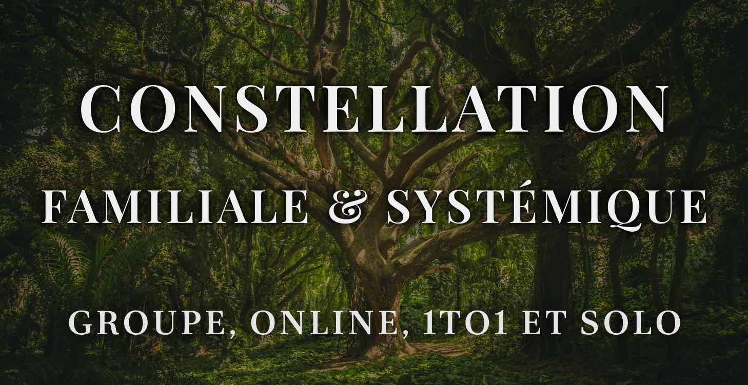 Formation Constellation Familiale