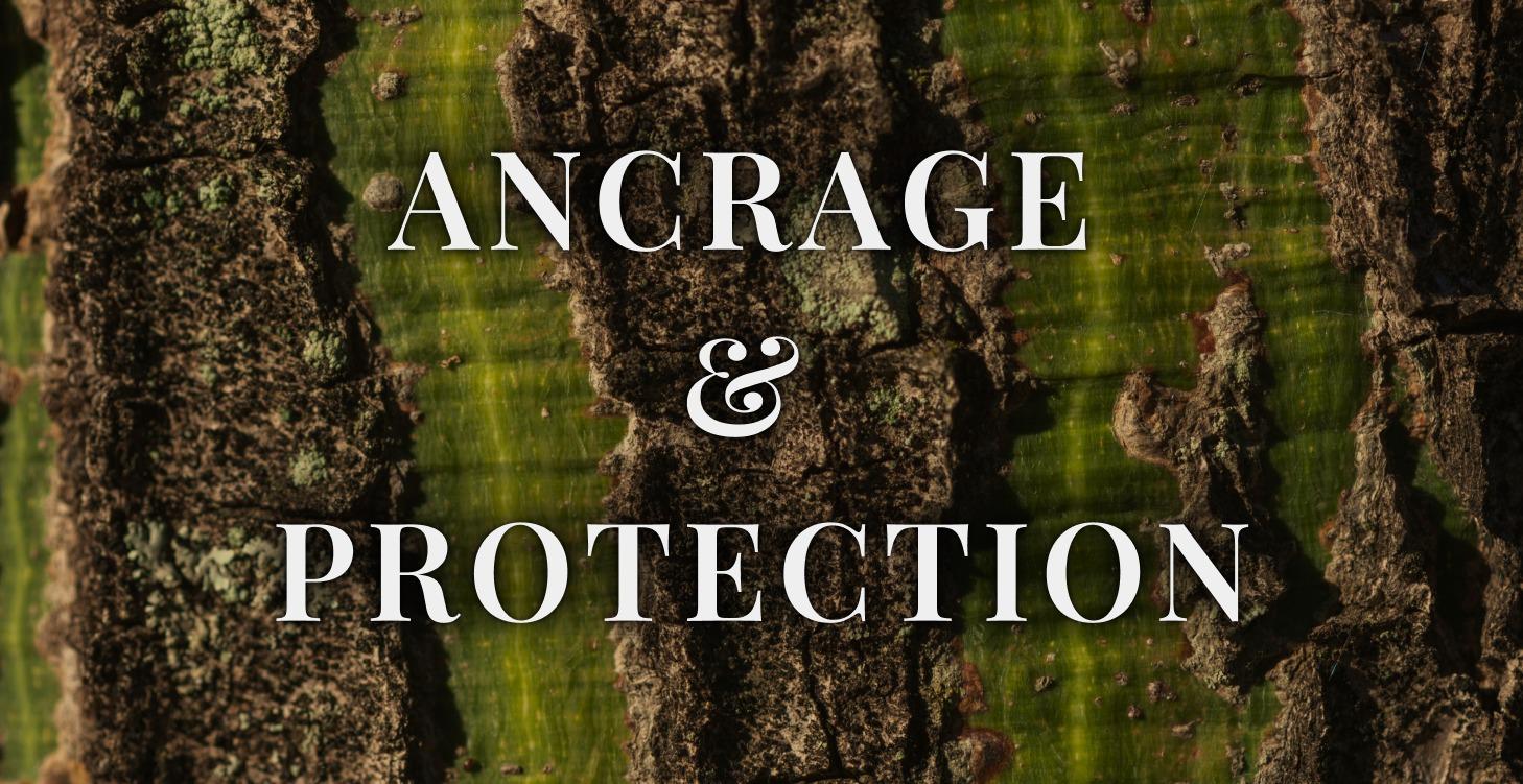 Ancrage & Protection