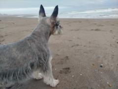 Anthony Vargas