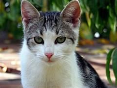 Lucia Belen Valenzuela