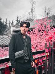 楊 子毅