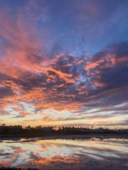 Jose carlos Lopez pecci