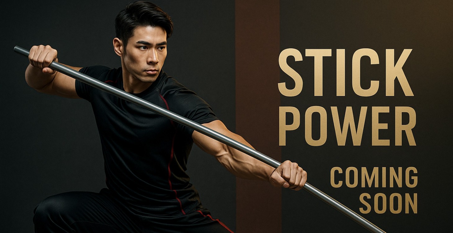 Kung fu Stick
