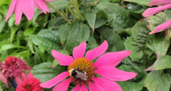 The world according to Yasmin.