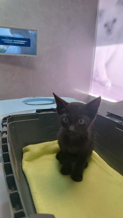 Maria Inarejos Mateos