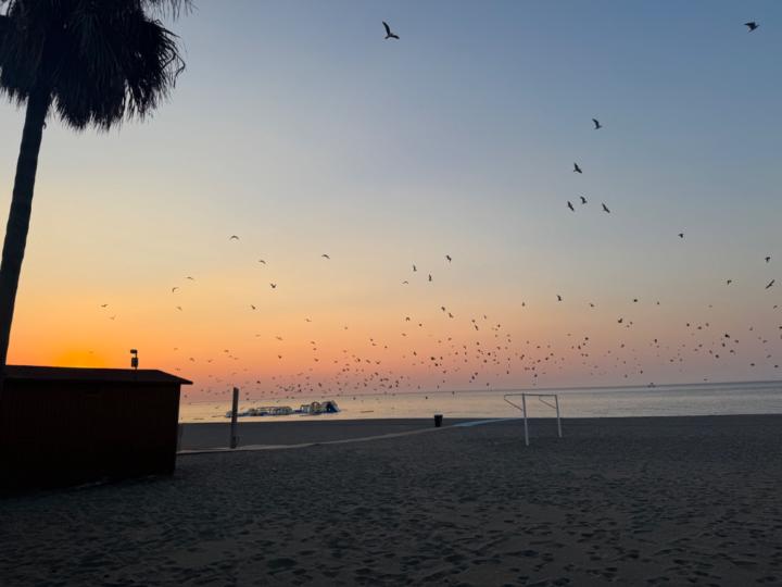 Alejandro Villanueva