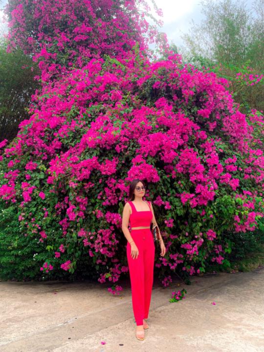 Trang Nguyễn