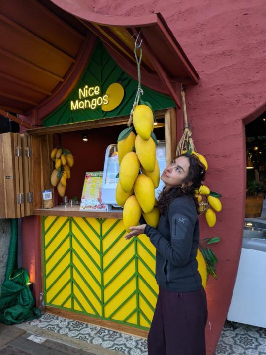 Michelle Smits Solis