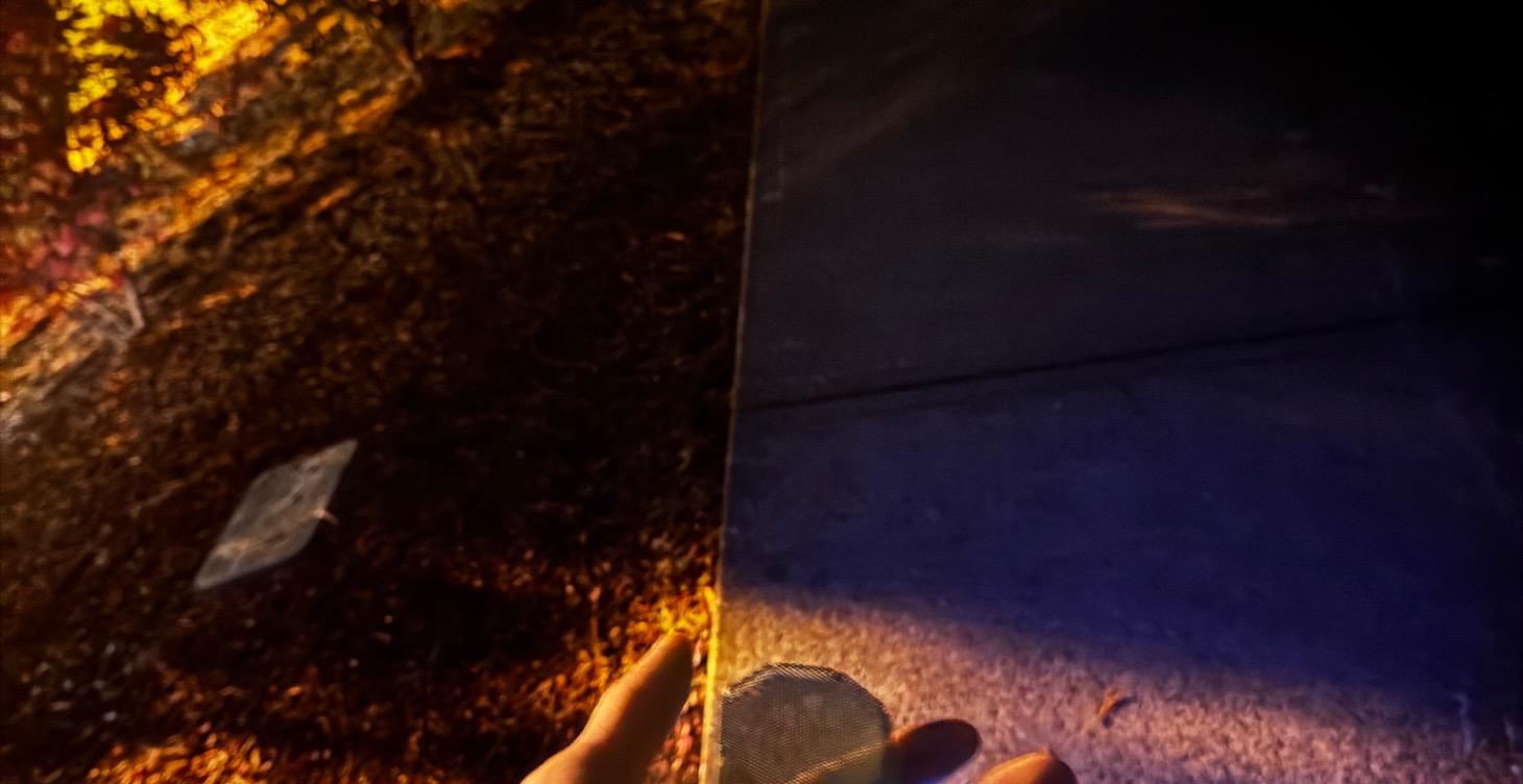 Join me let’s talk stance and basic knowledge