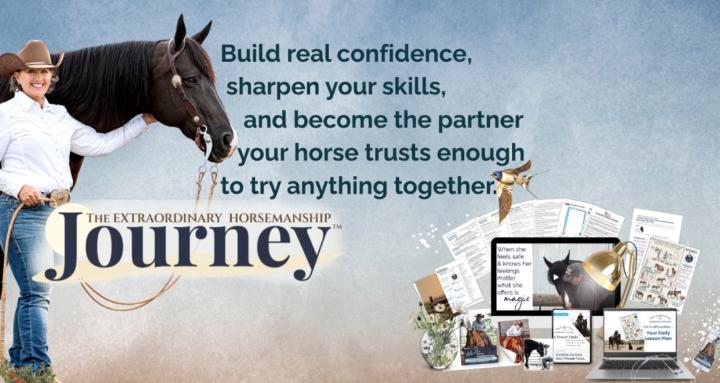 Extraordinary Horsemanship