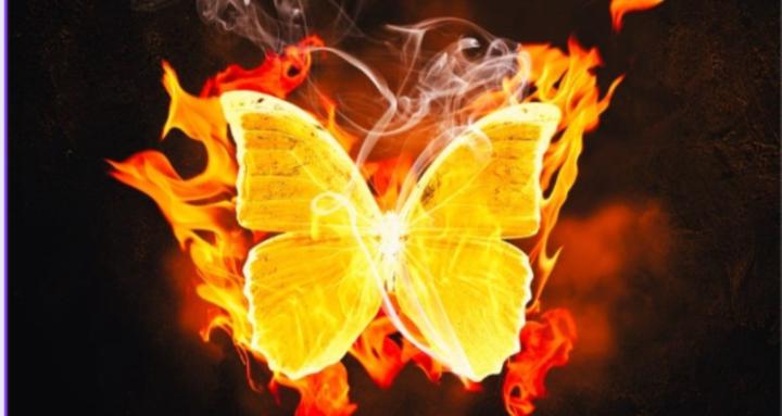 Transformative Tribe