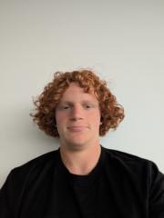David Stingle