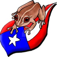 Luis Lopez