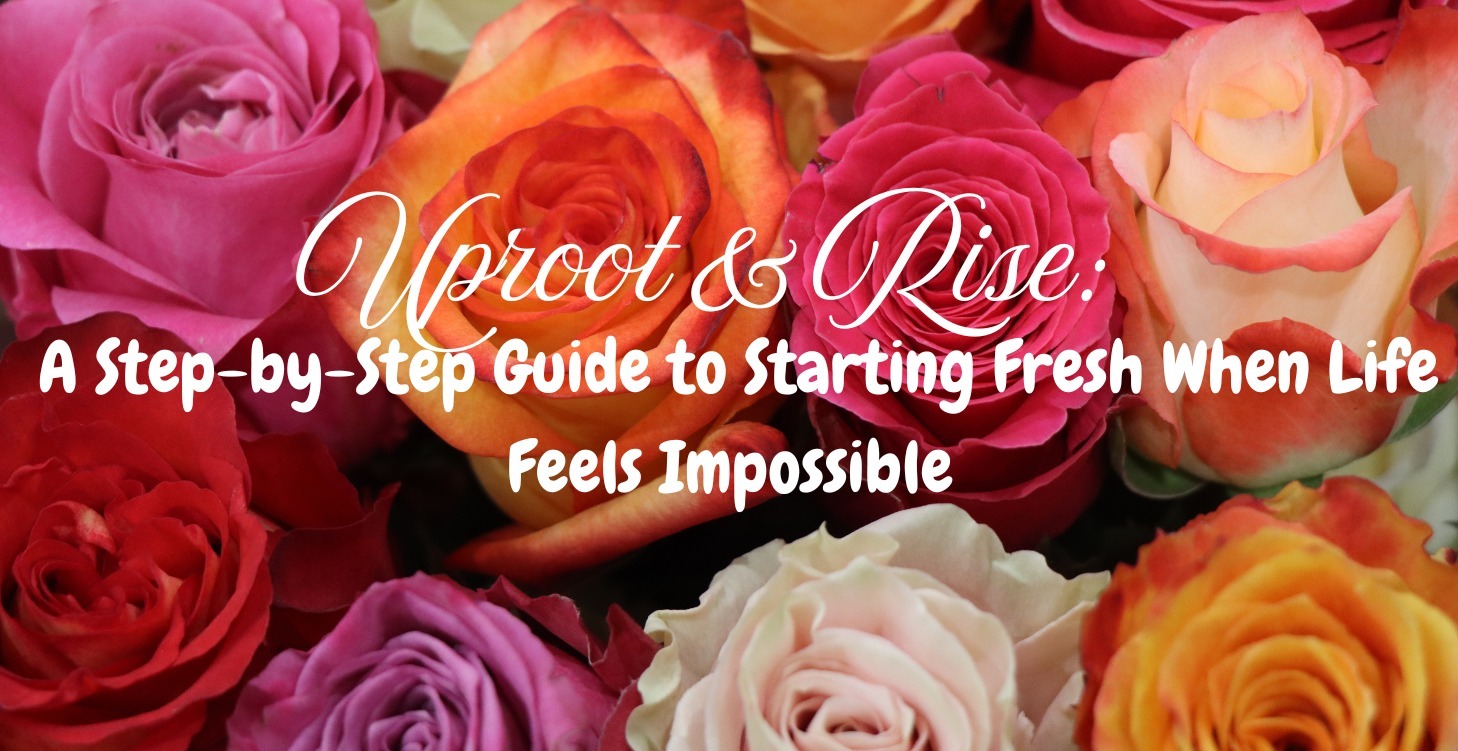 Guide to Starting Fresh When Life Feels Impossible