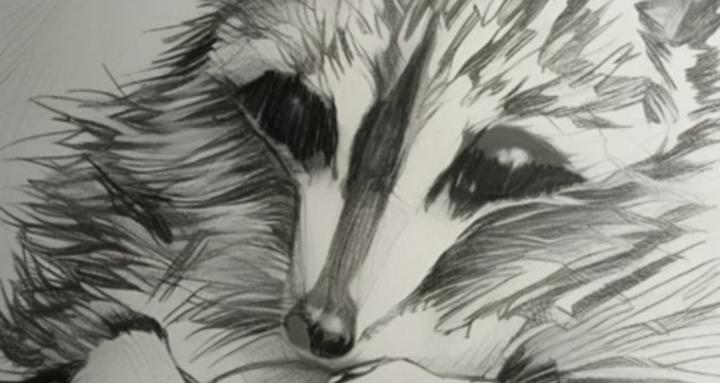 Matthew's Sketch-shop