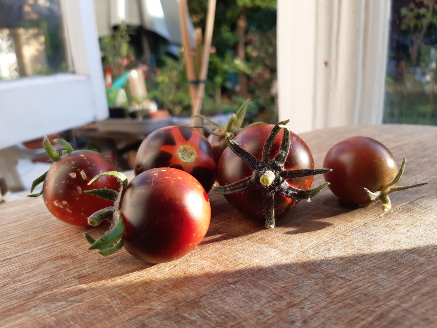 Sow & Grow Regenerative