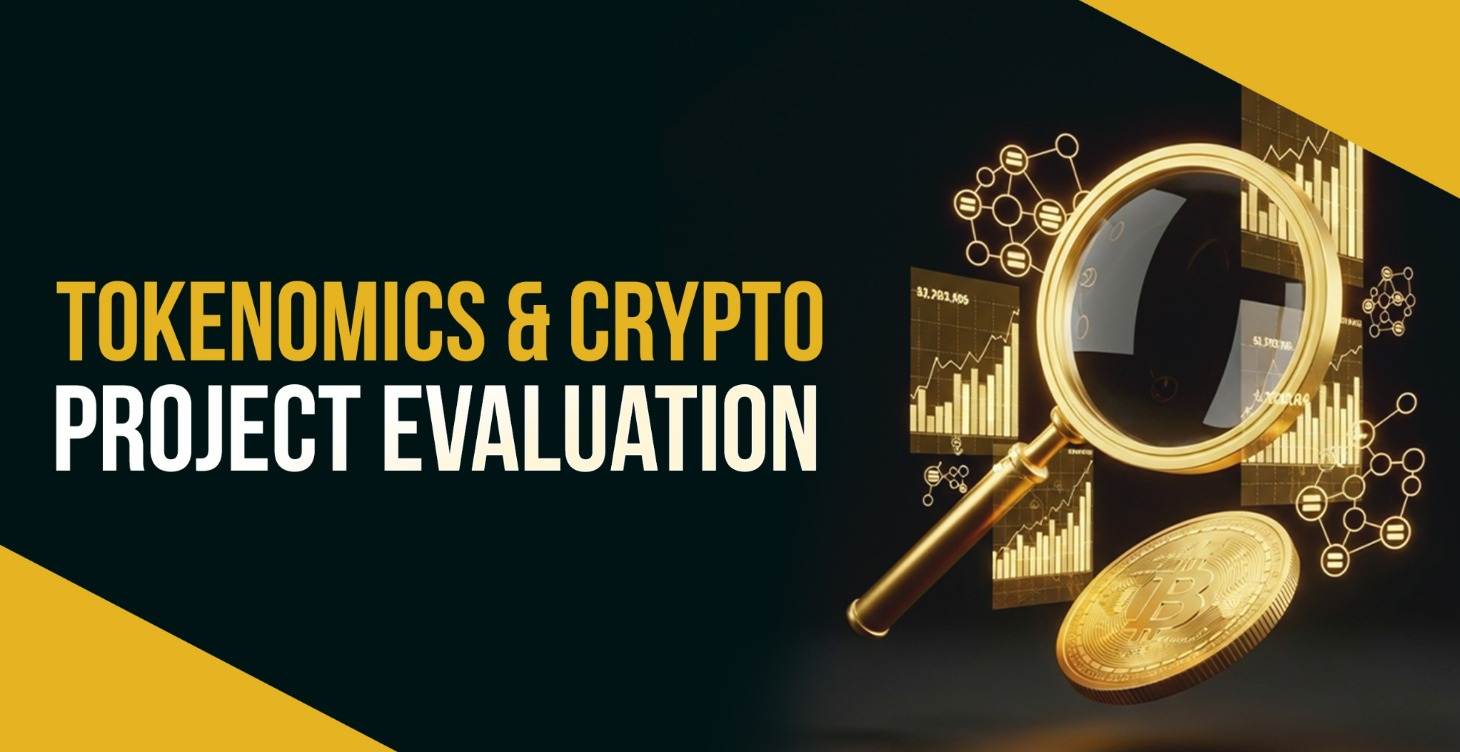 Tokenomics & Crypto Project Evaluation