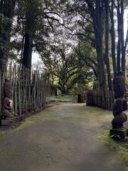 Kapua Manihera Double