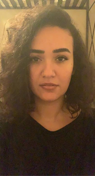 Nour El Messiri
