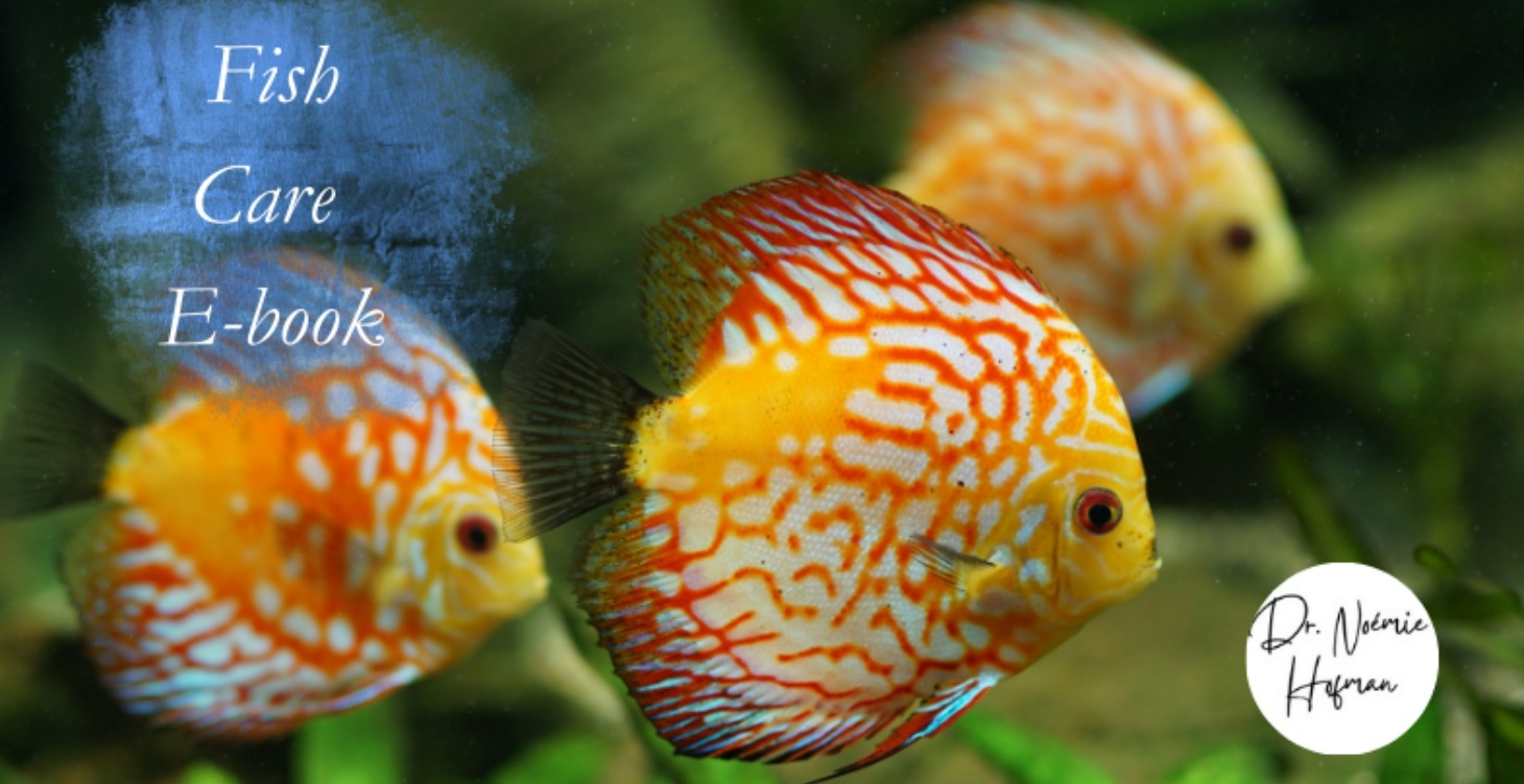 Freshwater Fish care E-book