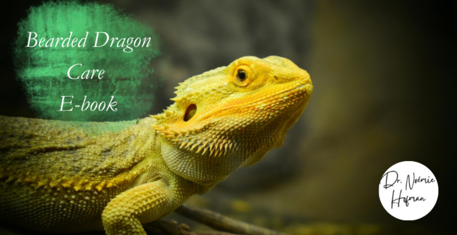 Bearded dragon Care Ebook