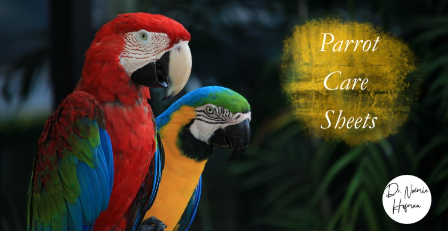 Parrot Care Sheets