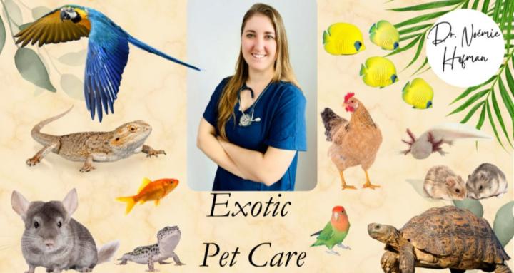Exotic Pet Care