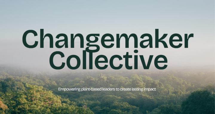 Changemaker Collective