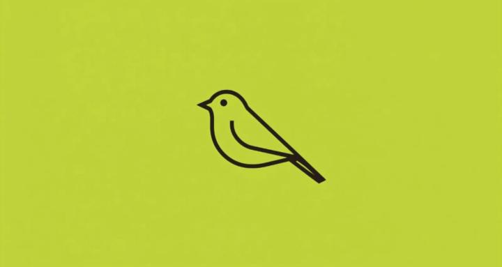 Der frühe Vogel