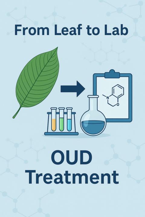From Leaf to Lab: How Kratom’s Chemistry Is Inspiring a New Breakthrough in Opioid Treatment