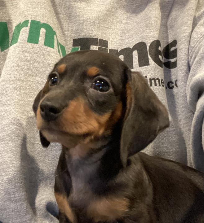 We’ve acquired a new CEO in our house!