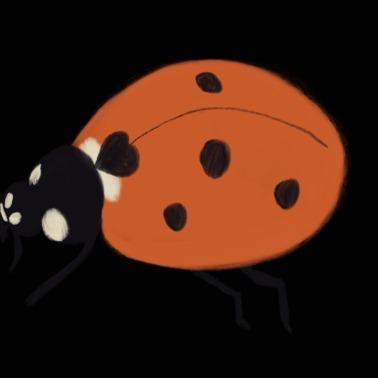 Irene Iglesias Román