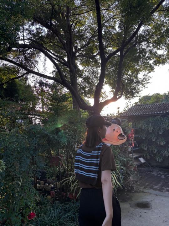 張 淨琇