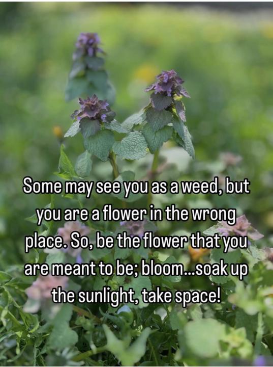 Are you a weed or a flower??