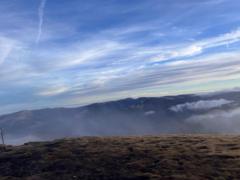 Julien Relva Carvalho