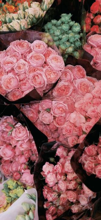 Ánh Linh Nguyễn Ngọc