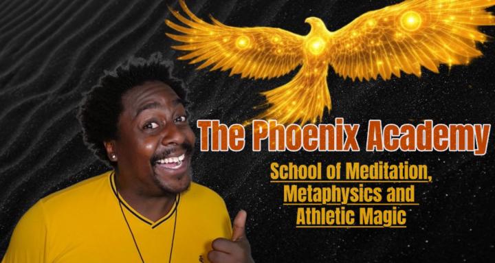 The Phoenix Academy