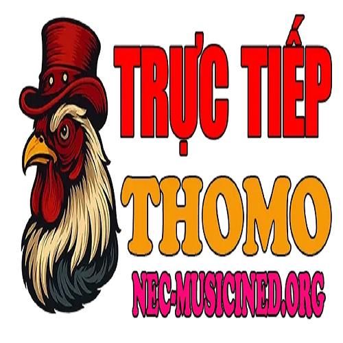 Đá gà trực tiếp Thomo hôm nay