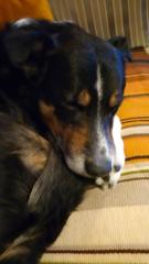 Marianne Fredriksson