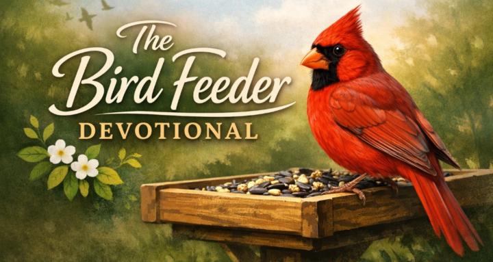 The Bird Feeder Devotional
