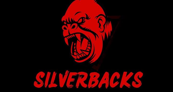 Silverbacks